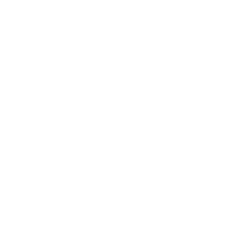 icons8-tick-250